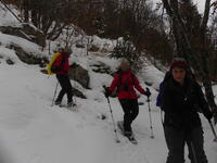 ... vint l'action.. ... vint l'action..