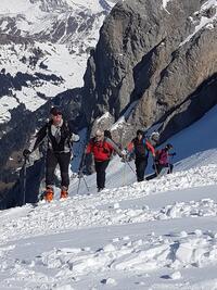 En pleine action En pleine action