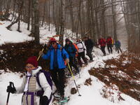 En file indienne en direction de Lelex. En file indienne en direction de Lelex.